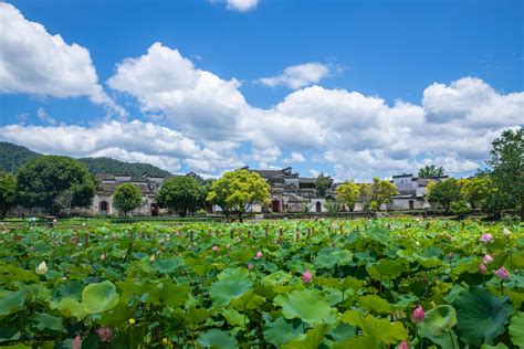 安徽宏村|探访宏村：皖南最美古村